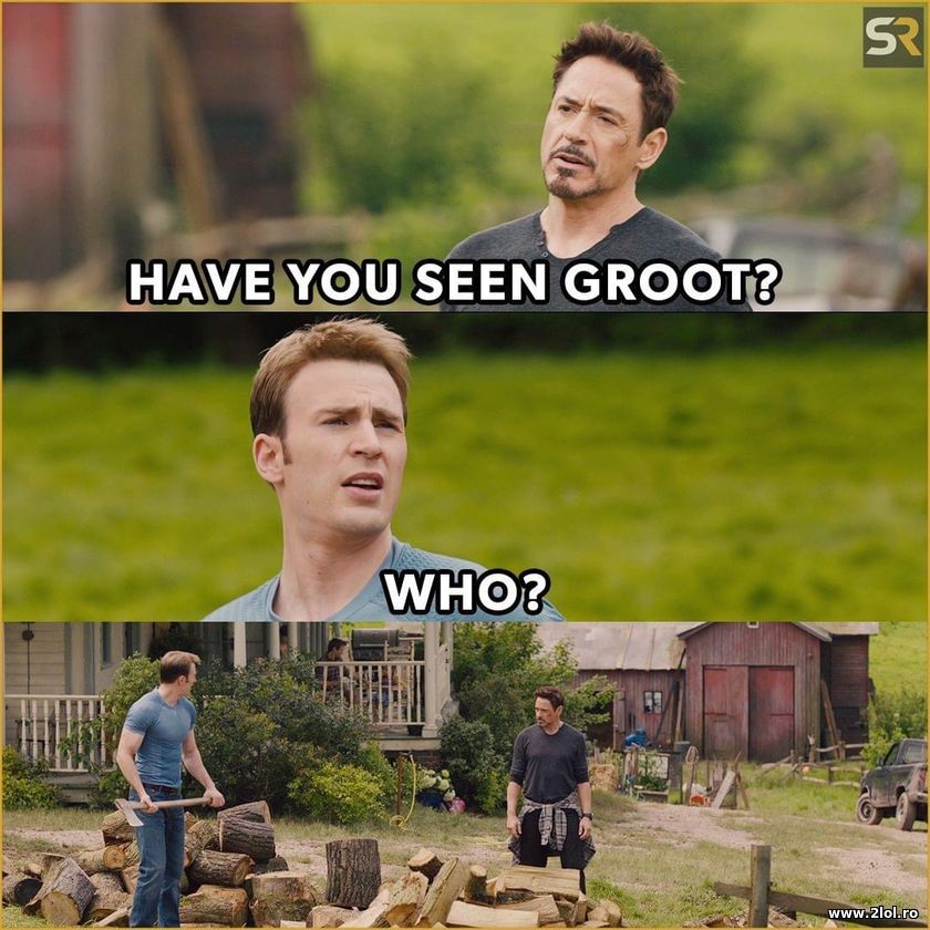 Have you seen Groot? Who? | poze haioase