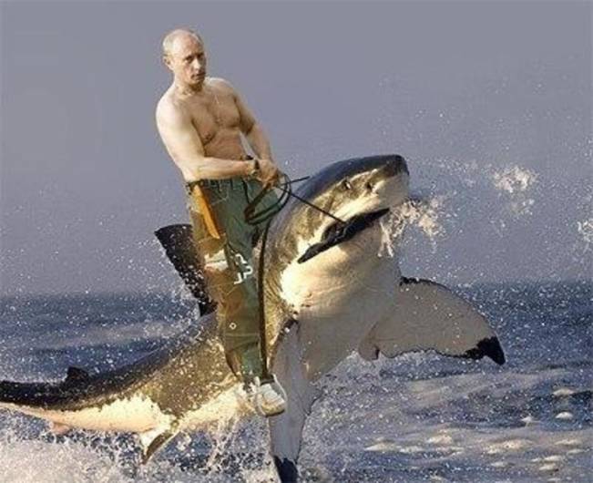 Când Putin se plictisește de călărit cai | poze haioase