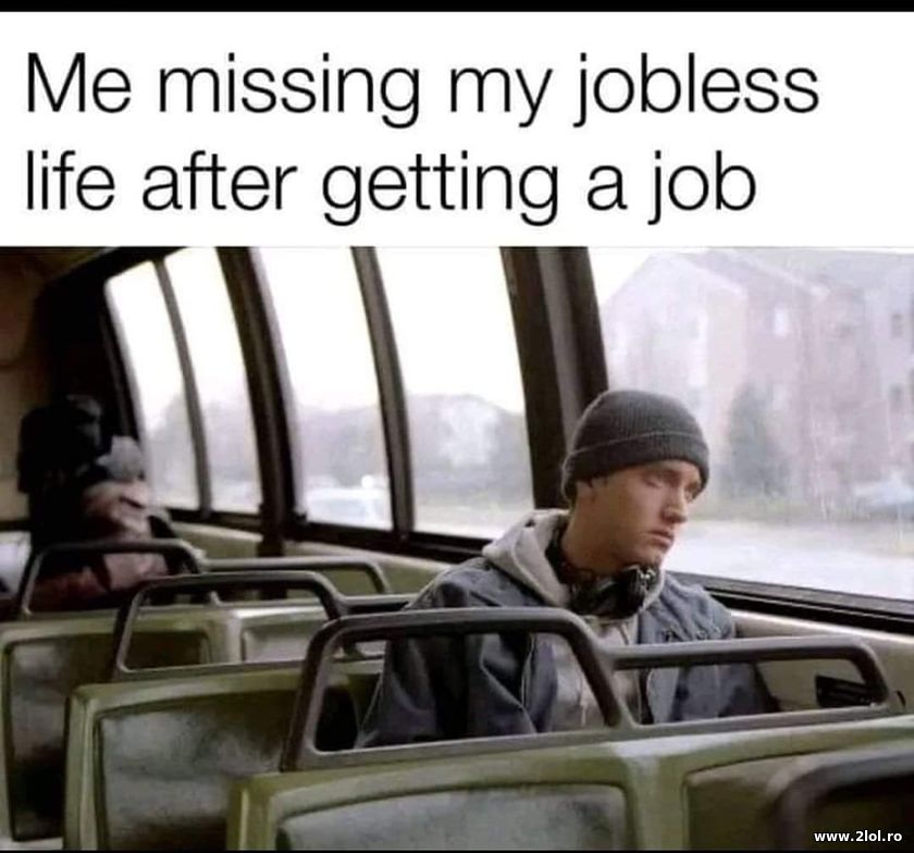 Missing my jobless life after getting a job | poze haioase