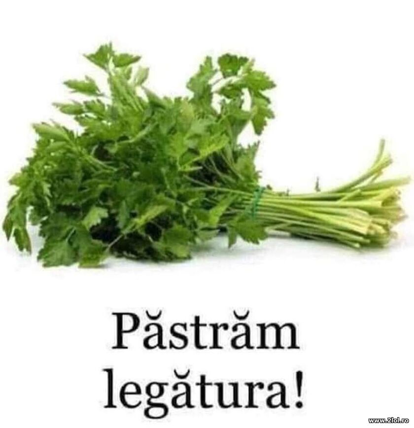 Pastram legatura | poze haioase