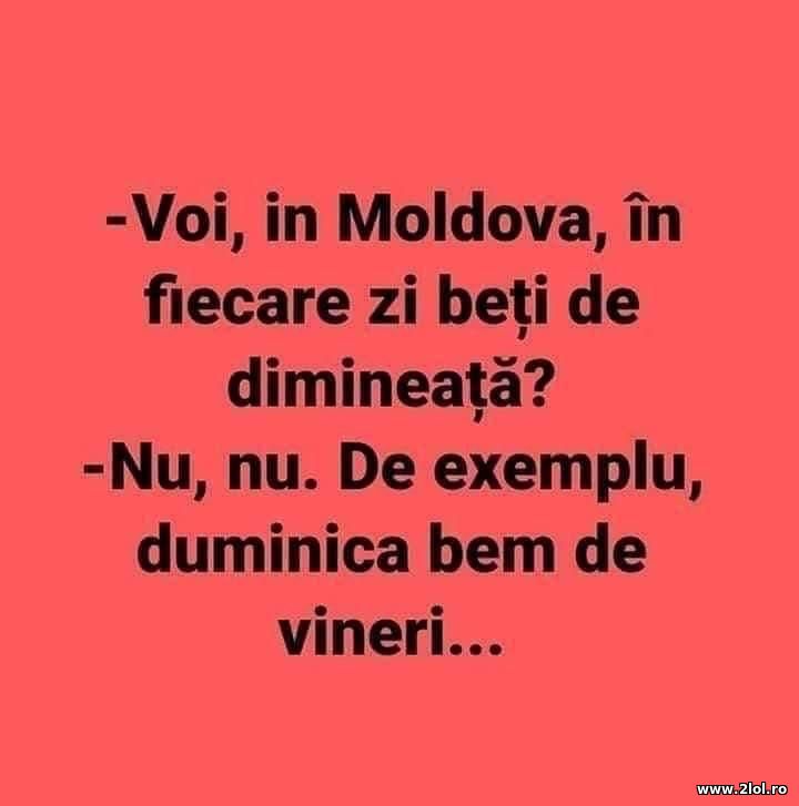 Voi, in Moldova in fiecare zi beti? | poze haioase