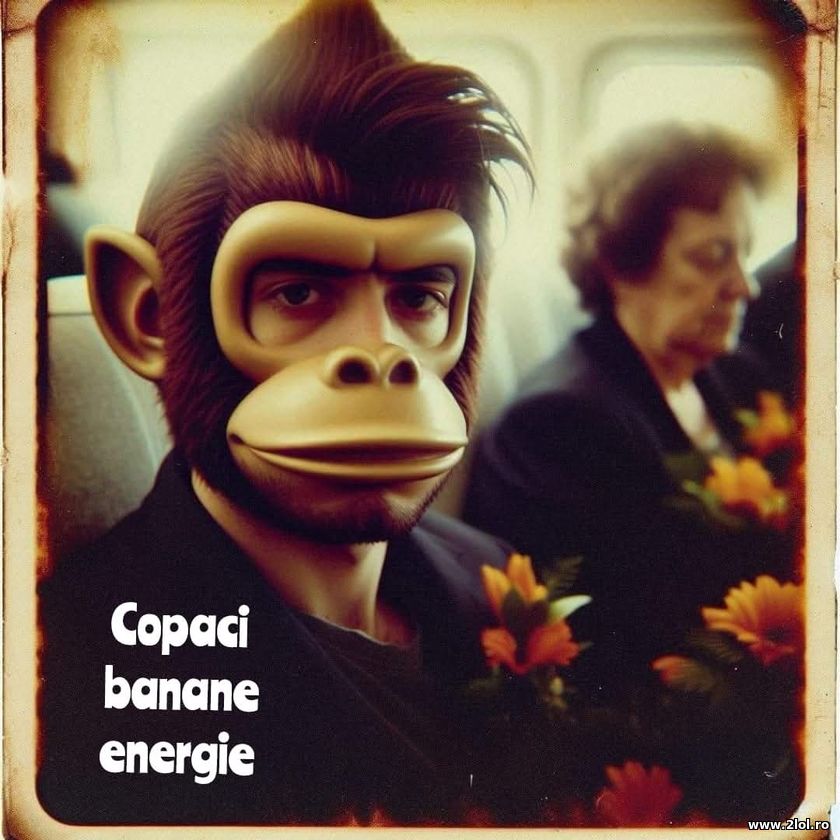 Copaci banane energie | poze haioase