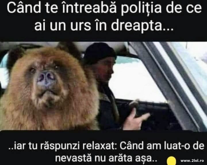 Cand te intreaba politia | poze haioase