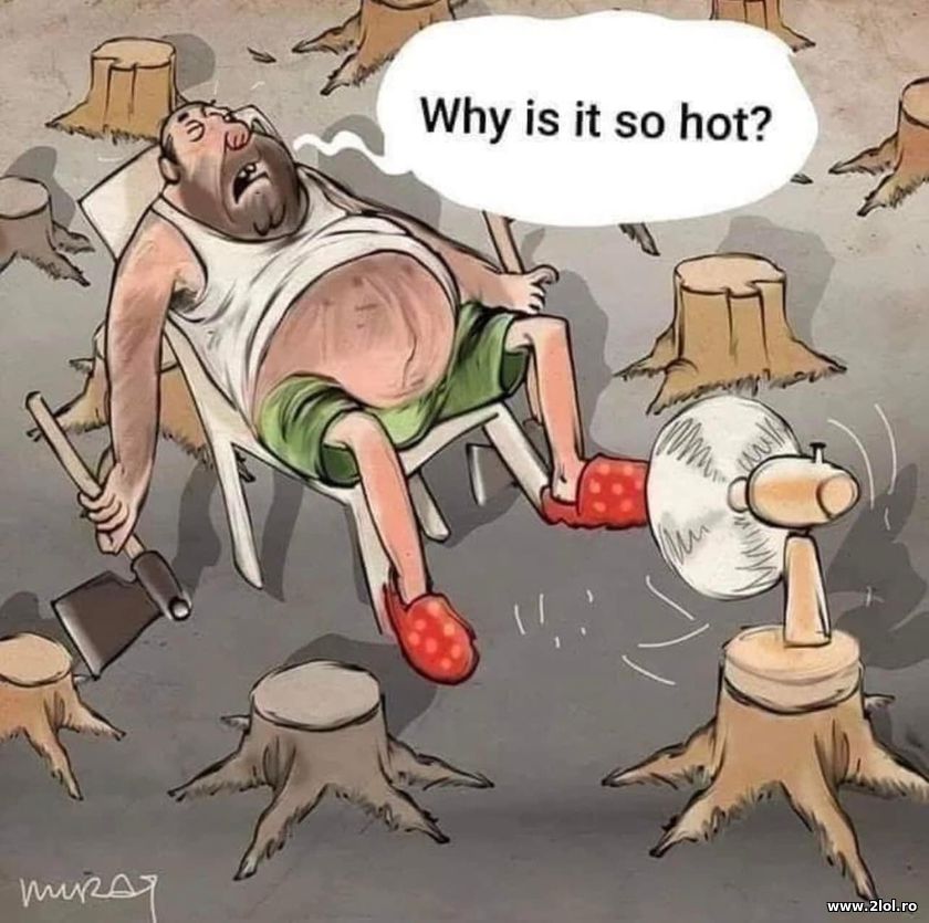 Why is it so hot? | poze haioase