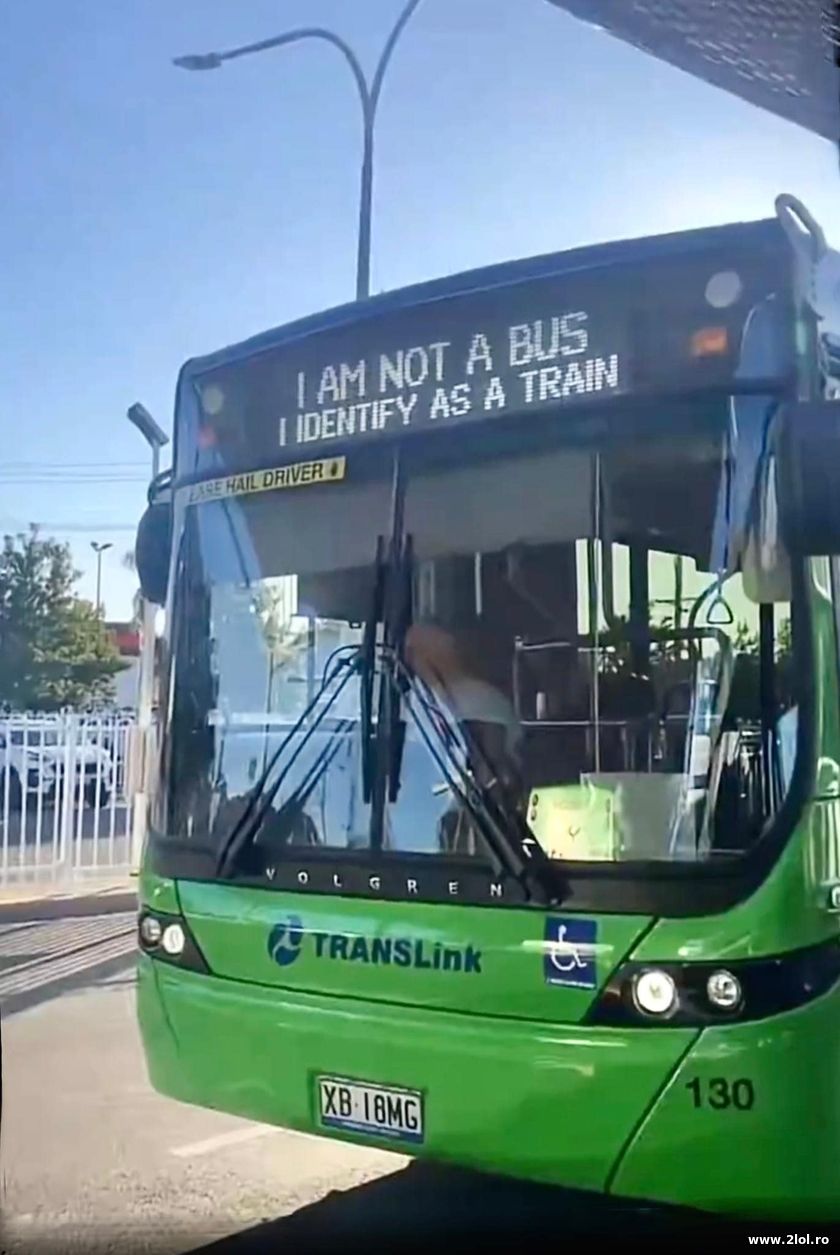 I am not a bus | poze haioase