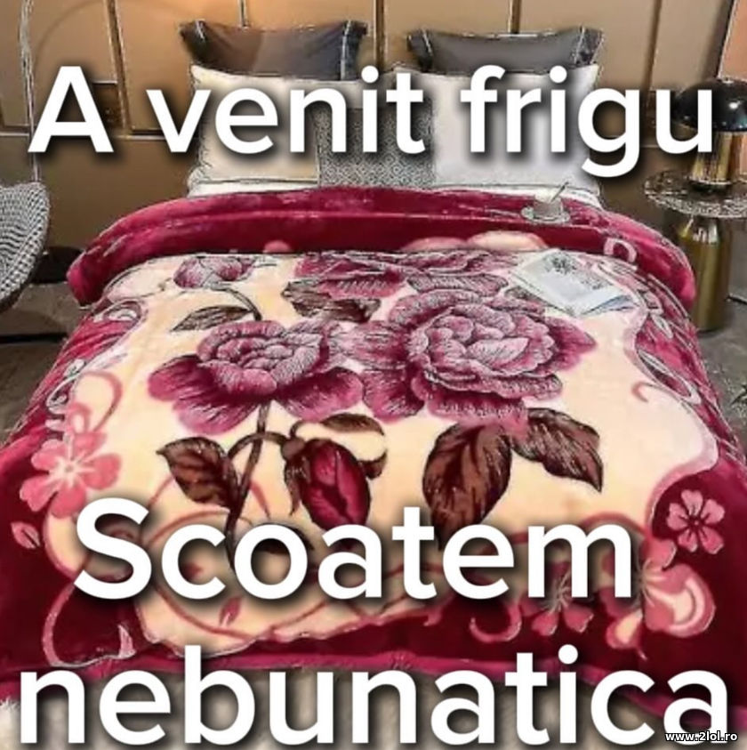 A venit frigul. Scoatem nebunatica | poze haioase