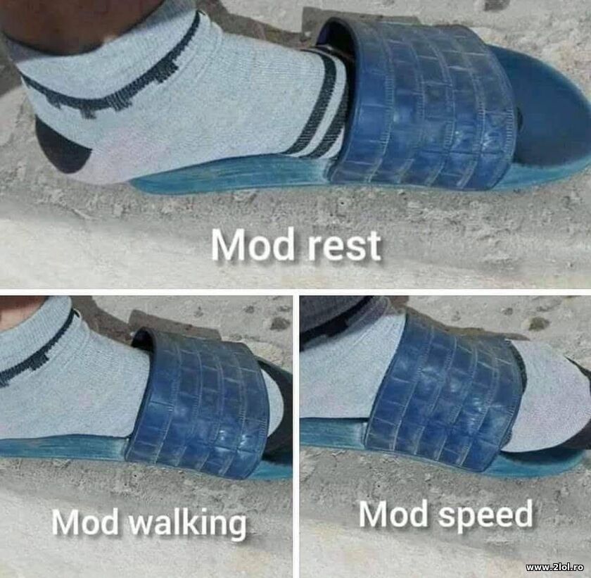 Multiple mods | poze haioase