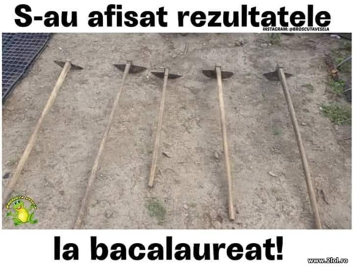 Rezultatele la BAC | poze haioase