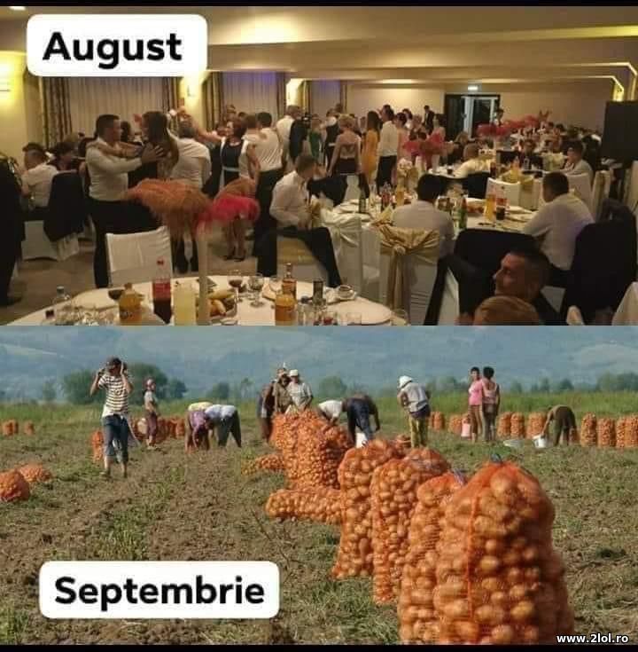 August evenimente si Septembrie lucru | poze haioase