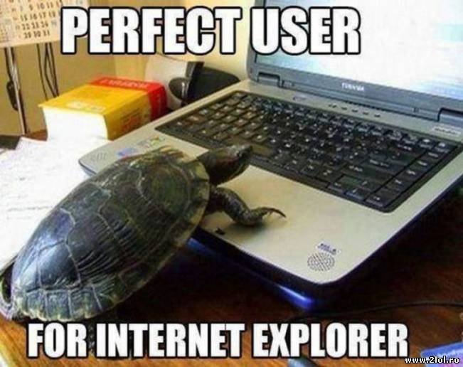 Utilizatorul perfect pentru Internet Explorer | poze haioase