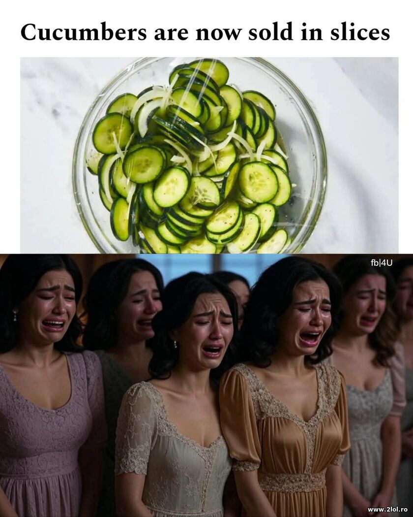 Cucumbers are now sold in slices | poze haioase