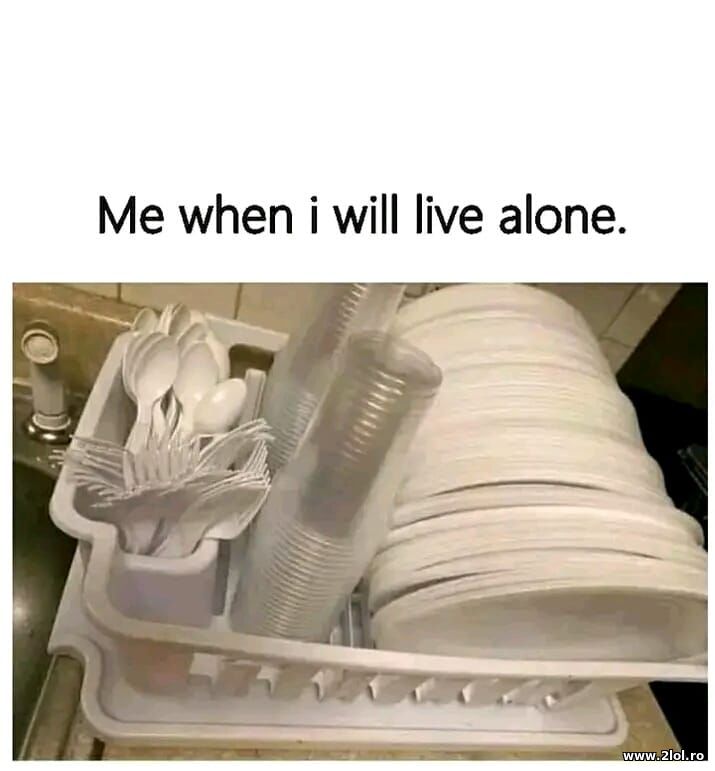 Me when I live alone | poze haioase