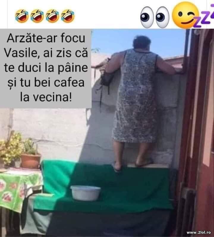 Arza-te-ar focu, Vasile | poze haioase