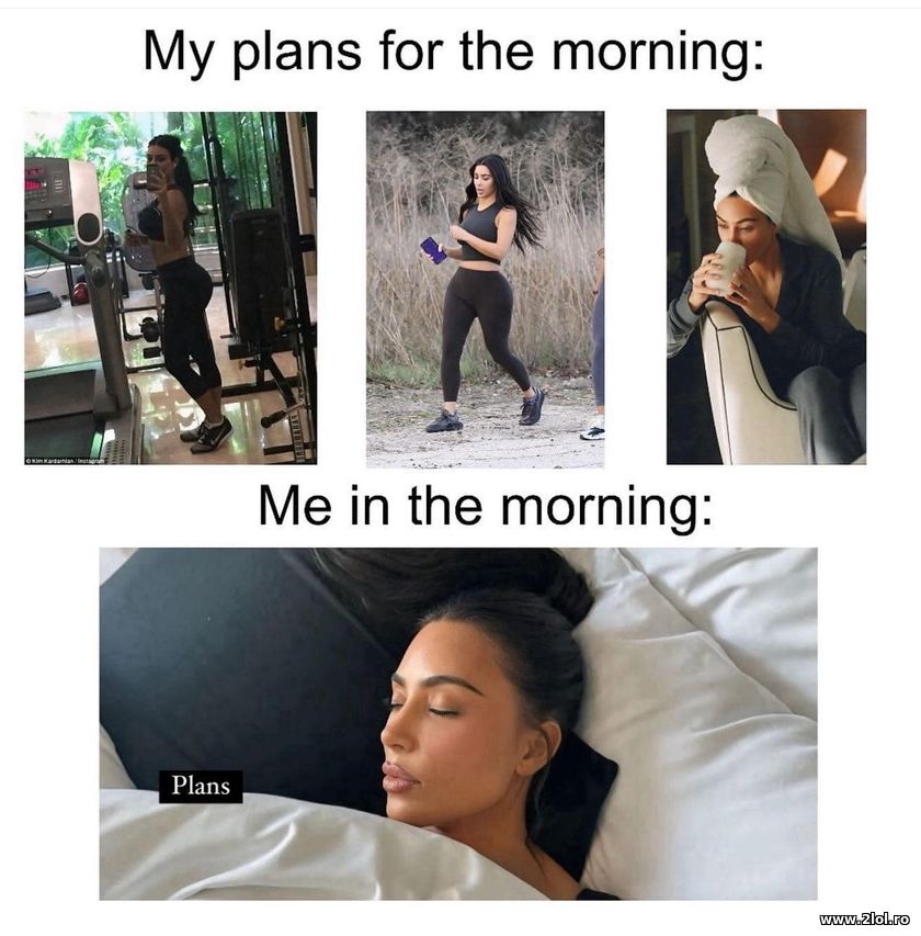 My plans for the morning | poze haioase