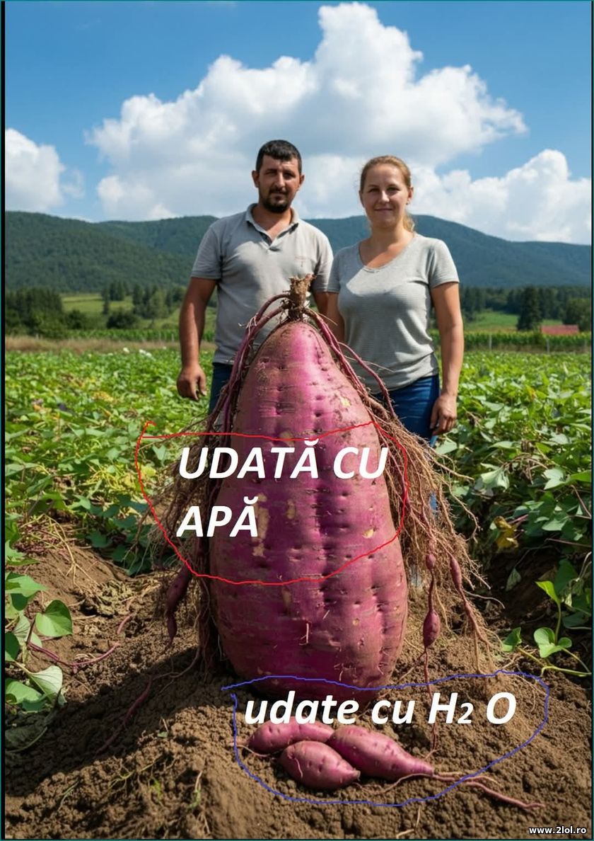 Udata cu apa si cu H2O | poze haioase