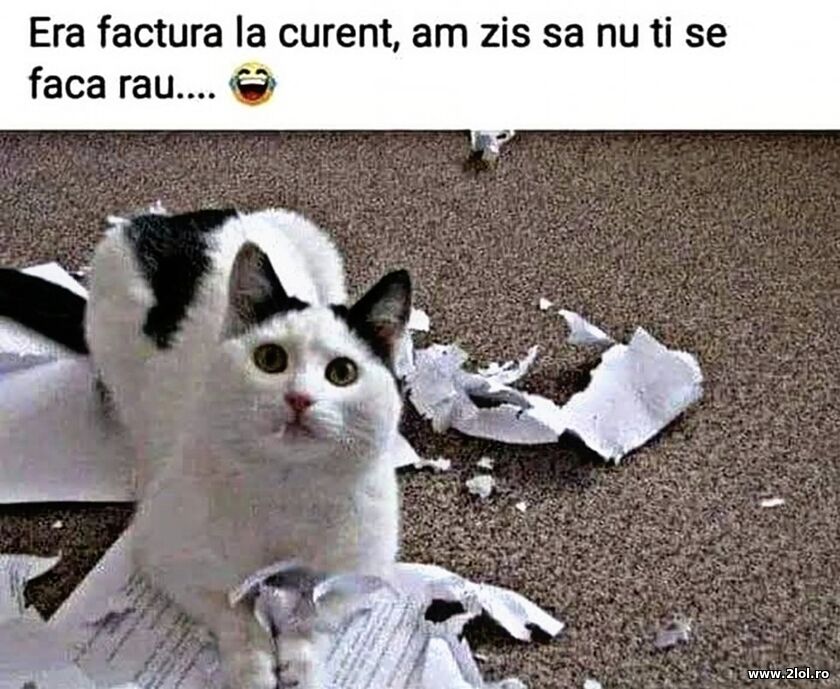 Era factura la curent | poze haioase