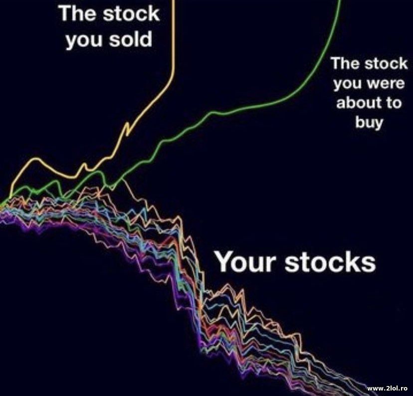 The stock you sold | poze haioase