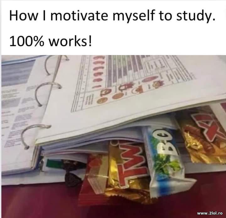 How I motivate myself to study | poze haioase